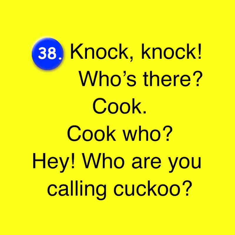 hilarious knock knock jokes