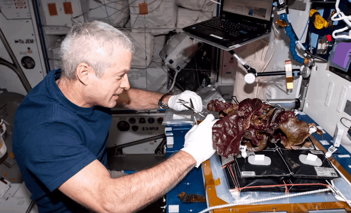 astronauts-will-eat-food-they-grew-themselves-in-space-for-first-time