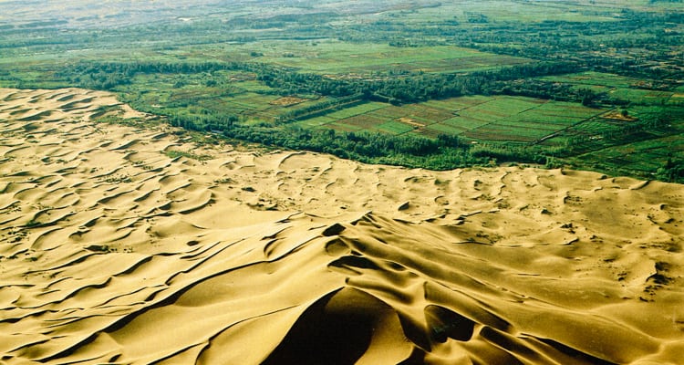 China Is Combating Desertification By Planting A Great Green Wall of