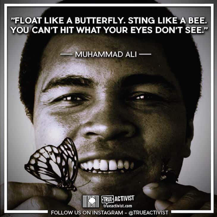 Float Like A Butterfly Sting Like A Bee 10 Great Quotes From The One And Only Muhammad Ali True Activist