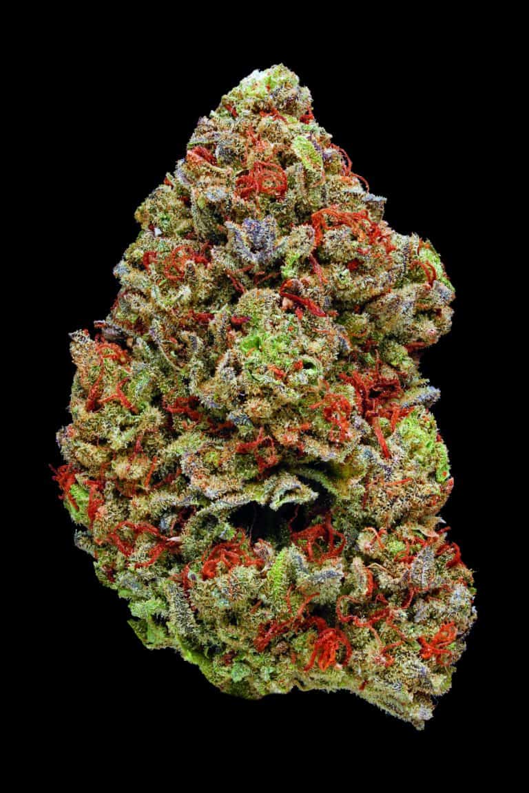 We’ll Bet You Didn’t Know Marijuana Looks This Beautiful Up Close ...
