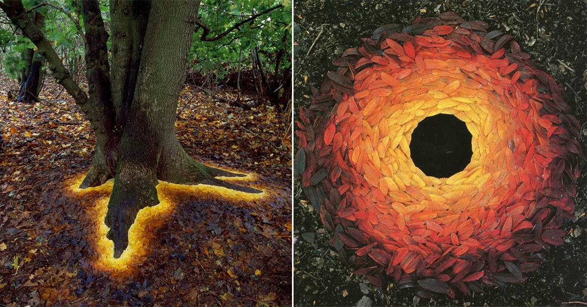 Man Uses Nature To Create Wondrous Works Of Arts - And They’re Stunning ...