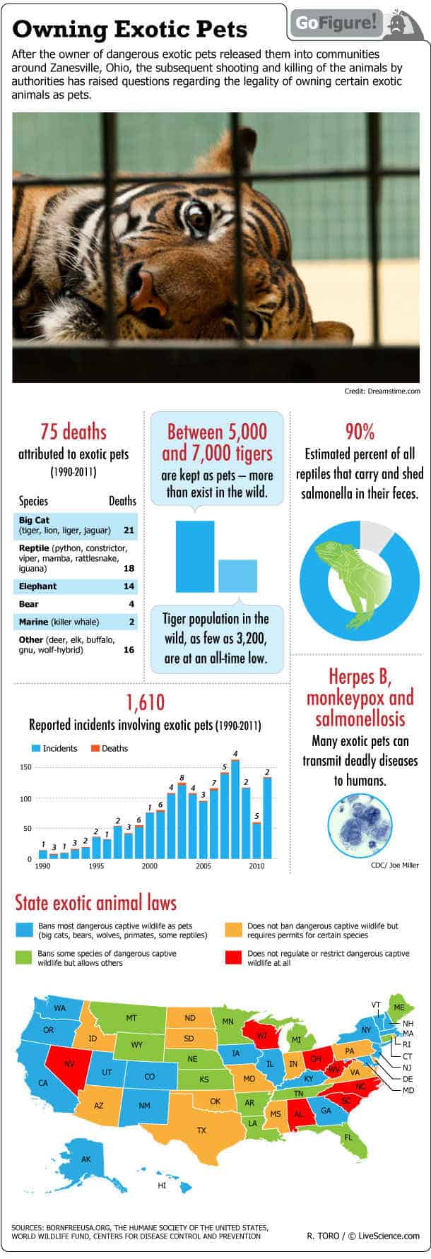 More Tigers Now Live In Peoples’ Backyards Than In The Wild ...