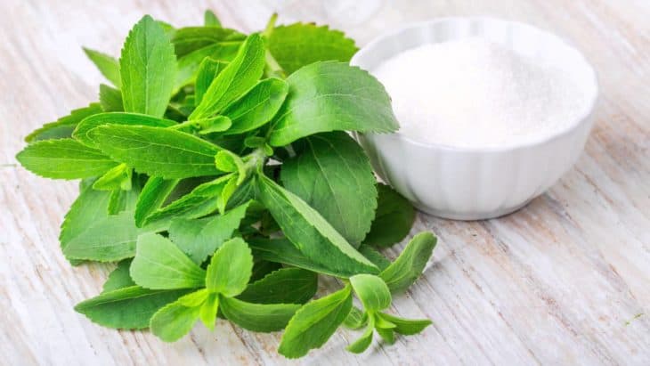 Stevia: Alternative To Antibiotics In Treating Lyme Disease - True Activist