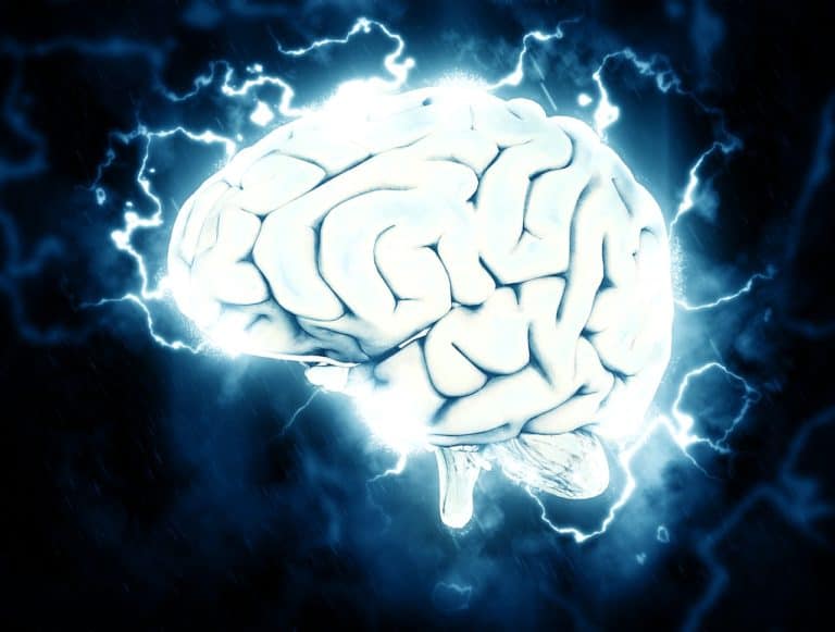 part of thebrain that helps keep eyes focused on one thing part of thebrain that helps keep eyes focused on one thing