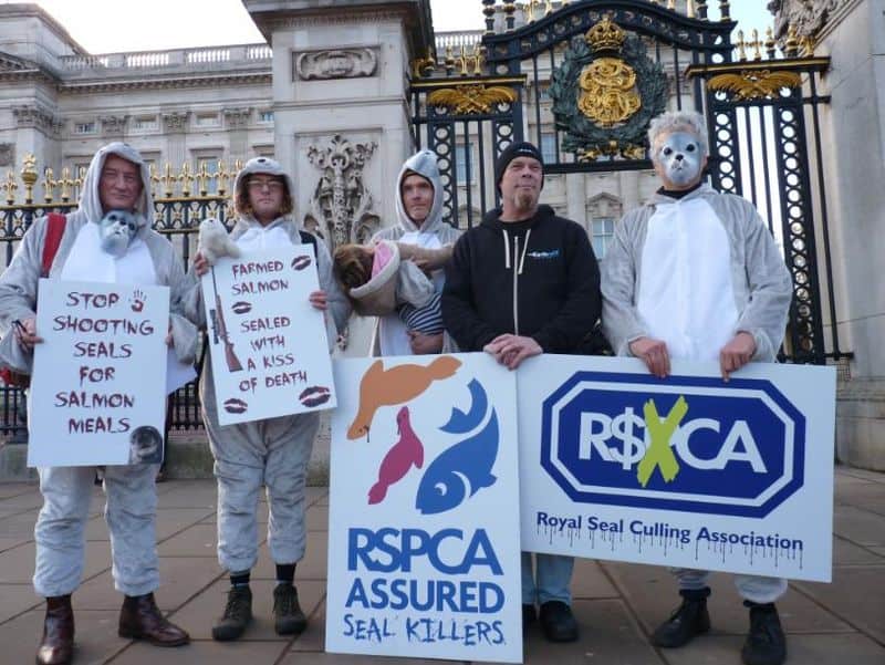 http://www.gaaia.org/killing-farms
