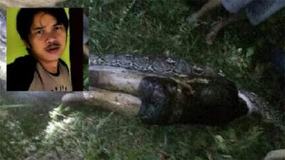 Man Found Inside Stomach Of A Python After He Was Swallowed Whole ...