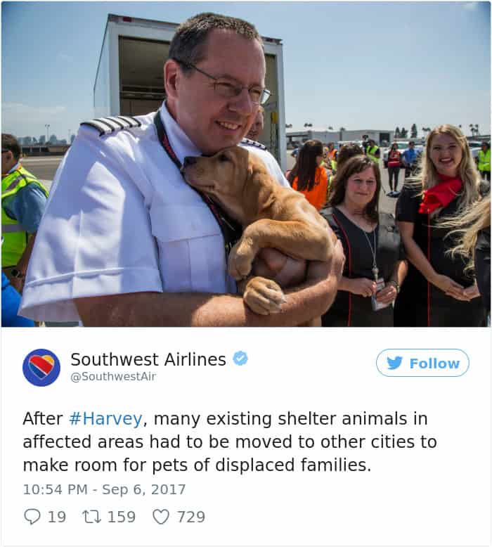 southwest airlines pet policy hawaii