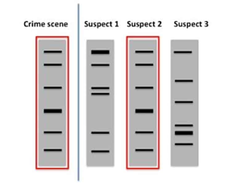 New Evidence Finally Solves Cold Case Of Troubled Teen 17 Years Later ...