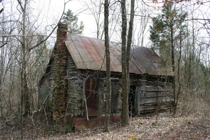 He Bought An Old Rotten Cabin In The Woods Creates Unbelievable