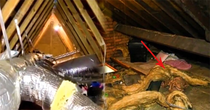 Woman Swears Her Home Is Haunted! Truth She Uncovers Is Much Worse ...