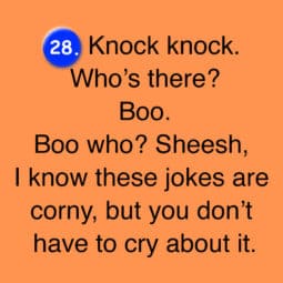 Top 100 Knock Knock Jokes Of All Time - Page 15 of 51 - True Activist