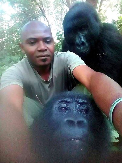 These Gorillas Can Beat You At Your Selfie Game As They Pose With Anti ...