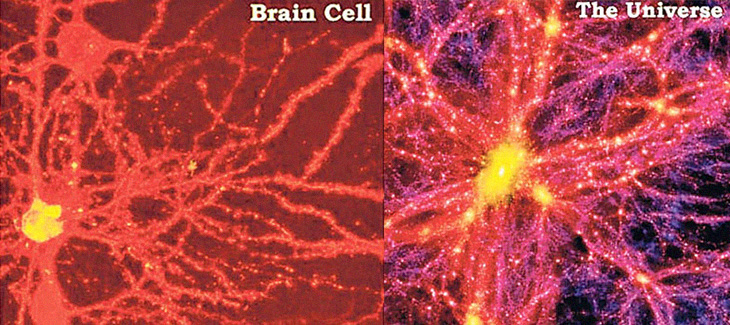 two-scientists-explain-the-odd-similarities-between-the-human-brain-and